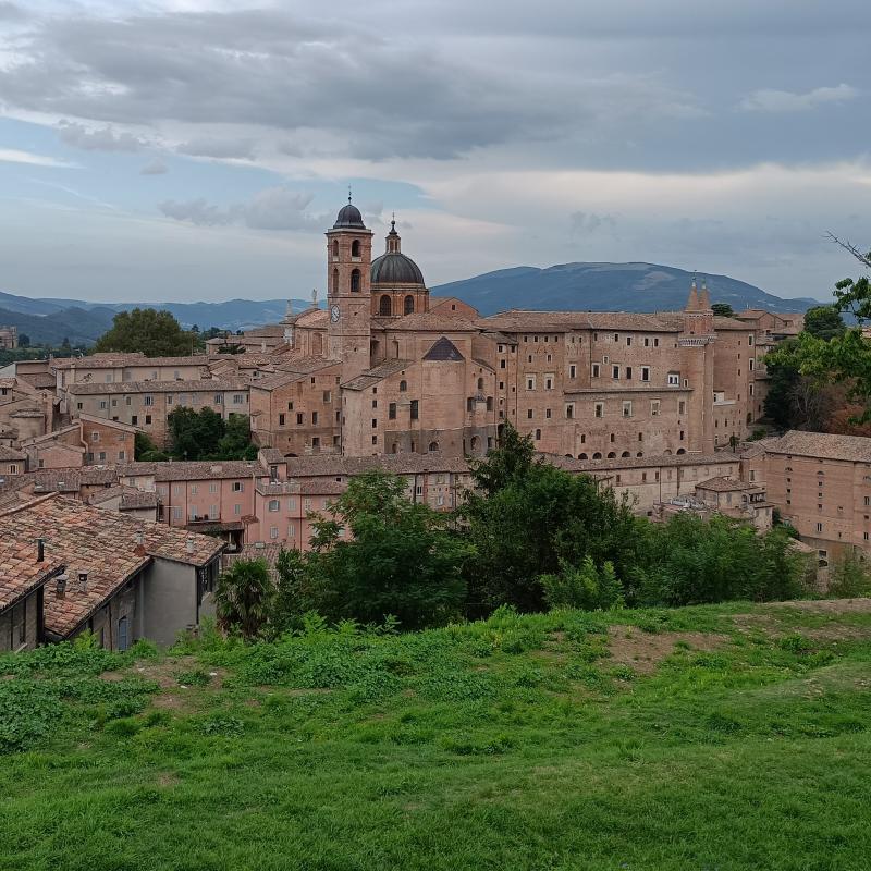 Panorama