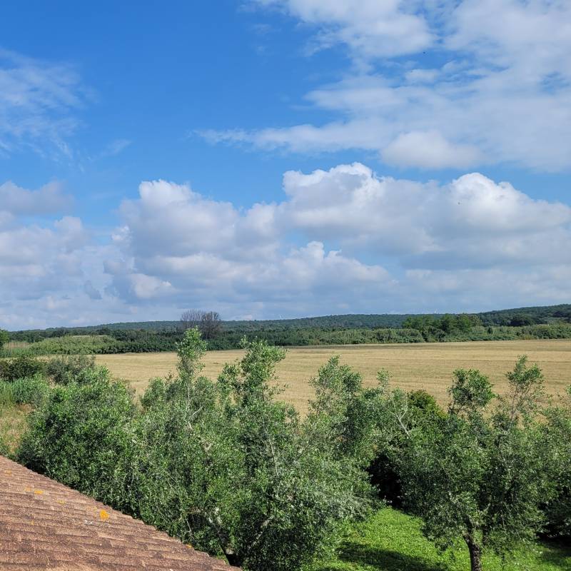 Fotosegnalazione di Tuscania
