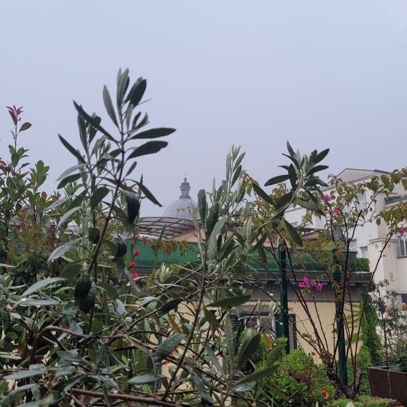 Fotosegnalazione di Napoli san lorenzo