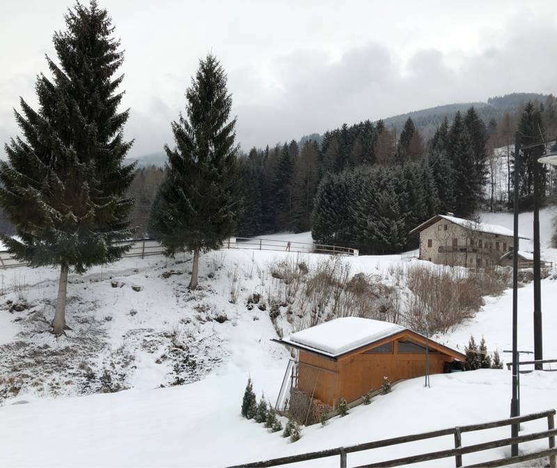 Fotosegnalazione di Tesero