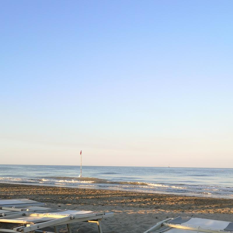 Fotosegnalazione di Rosolina mare