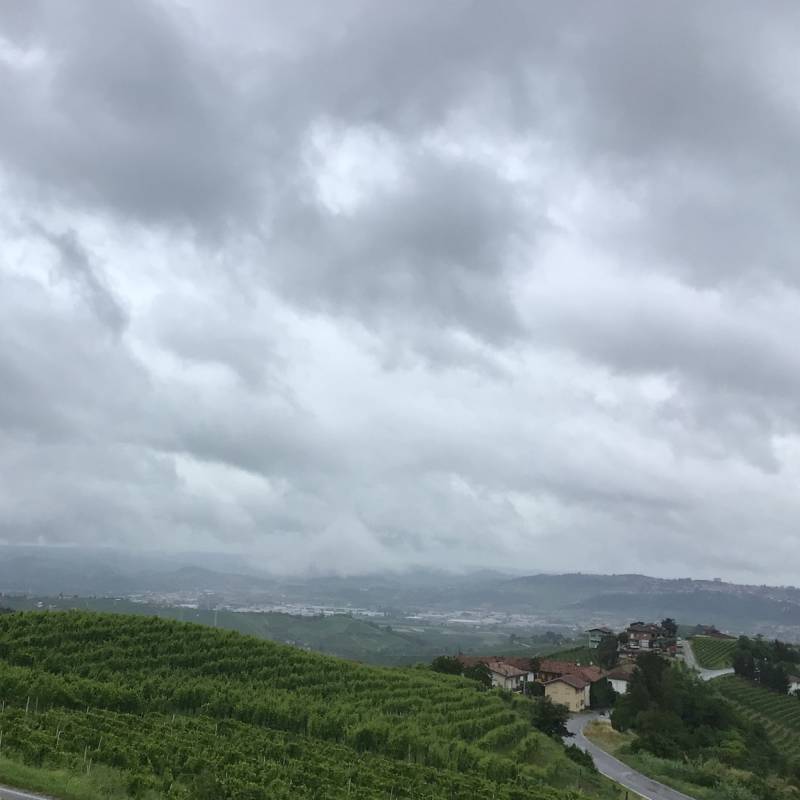 Fotosegnalazione di Treiso