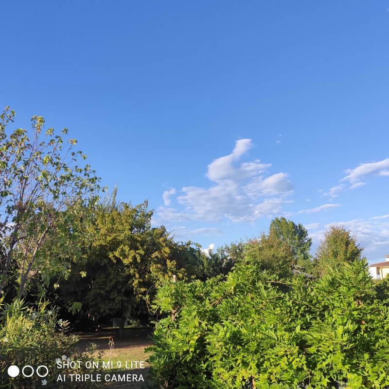 Fotosegnalazione di Montebelluna