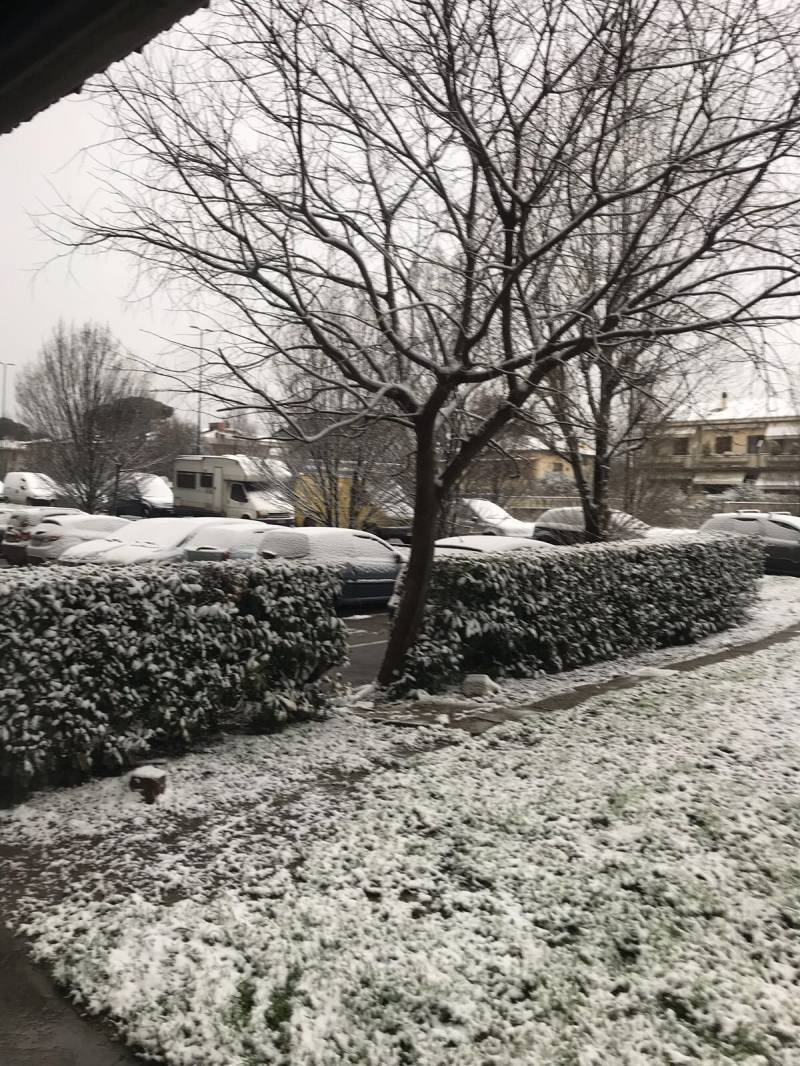 Nevicata 01 marzo 2018
