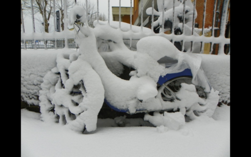 nevicata_livorno