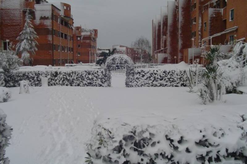 nevicata_Livorno4