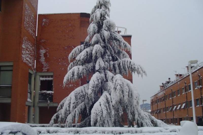 nevicata_Livorno5