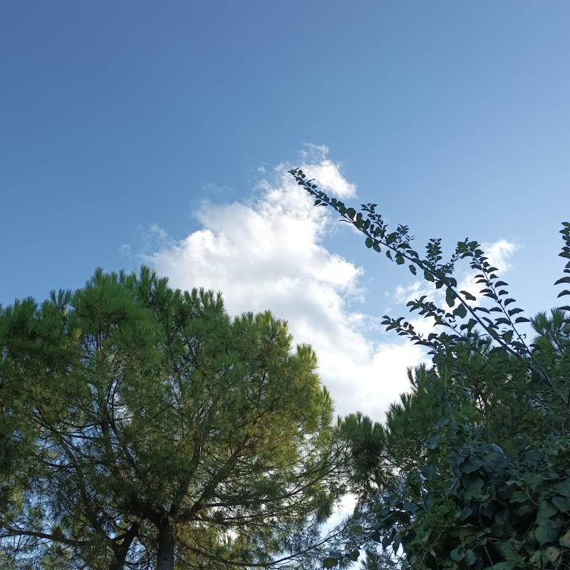 Fotosegnalazione di Francavilla al mare