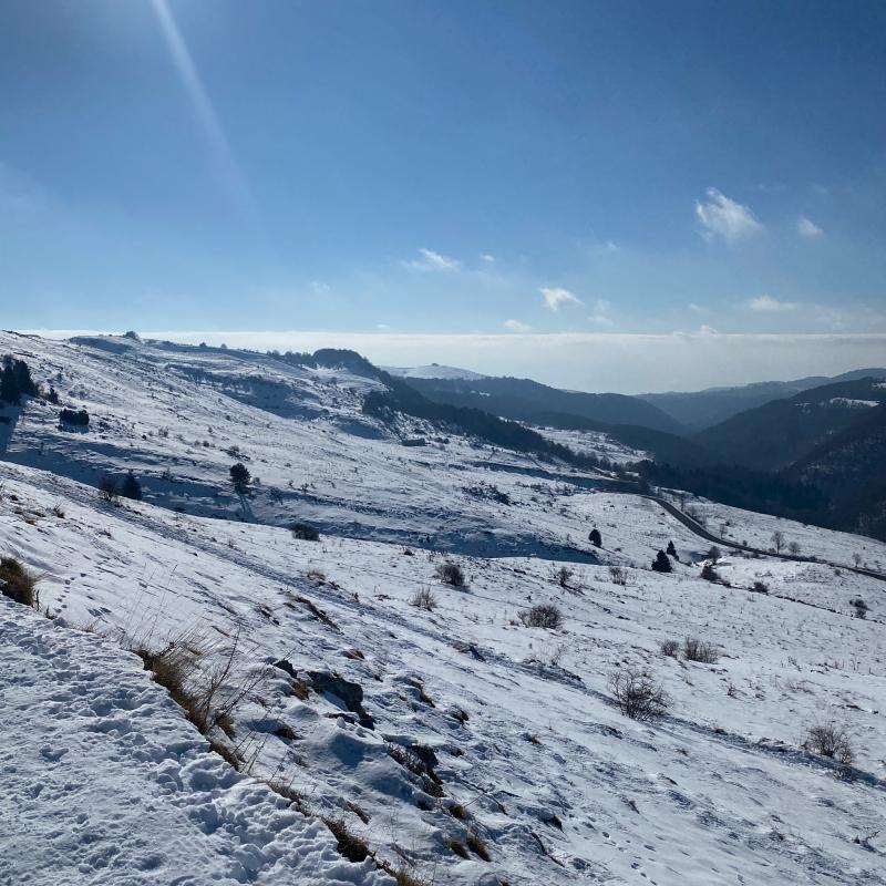 Fotosegnalazione di Bosco chiesanuova