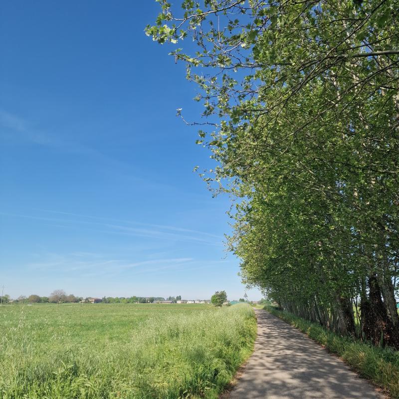 Fotosegnalazione di Goito