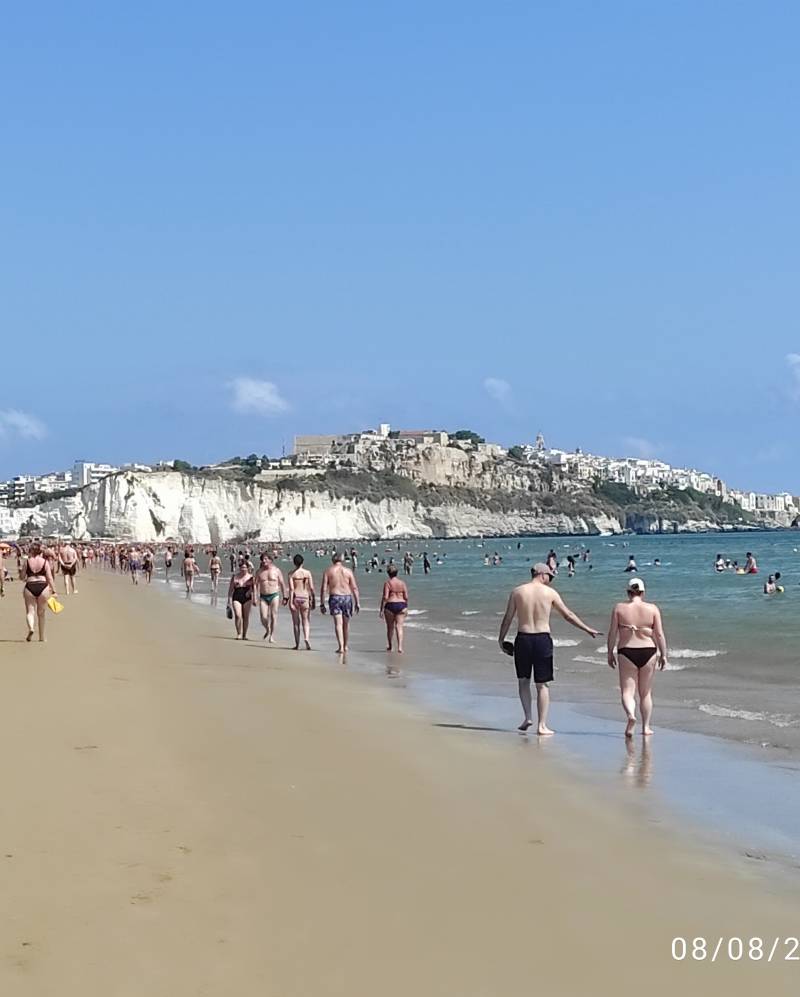 foto panoramica Vieste