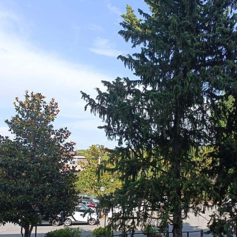Fotosegnalazione di Roma torrino