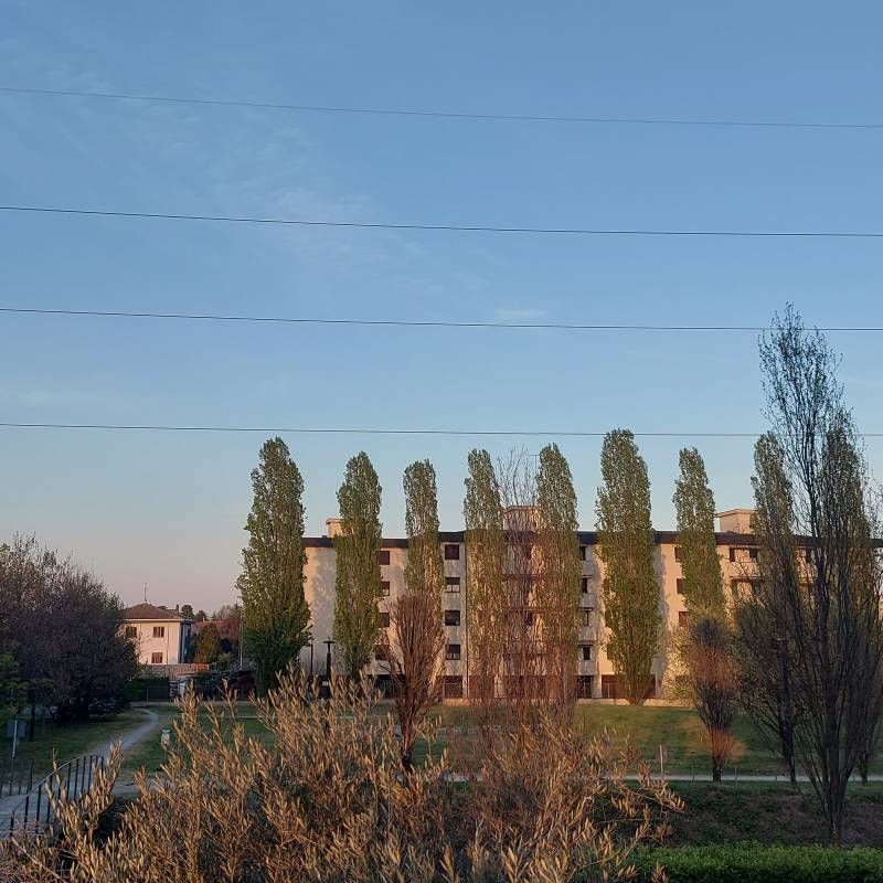 Fotosegnalazione di Bovisio masciago