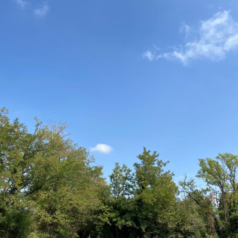 Fotosegnalazione di Osio sopra