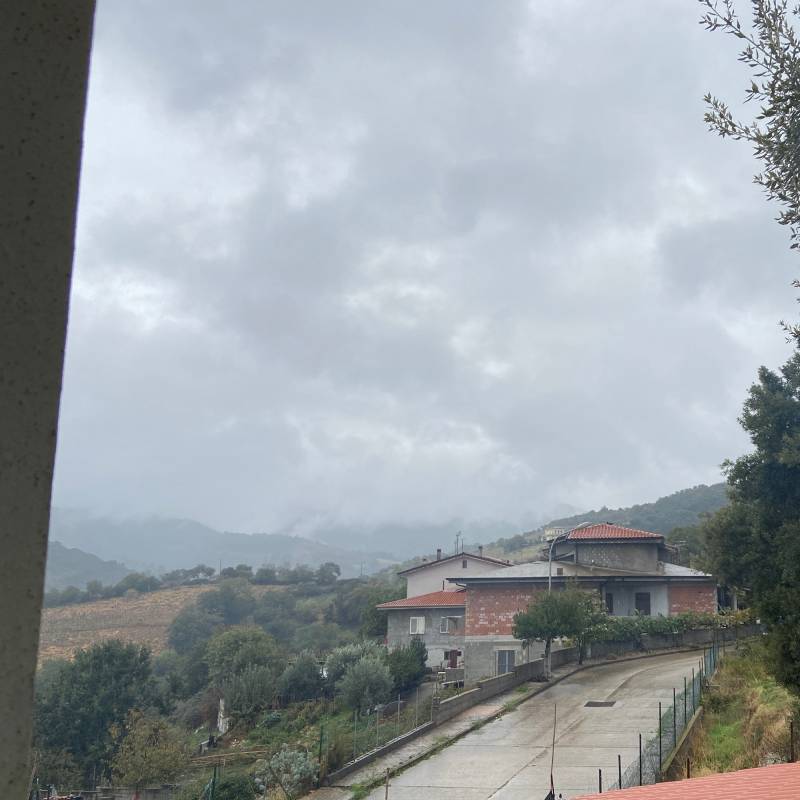 Fotosegnalazione di Meana sardo