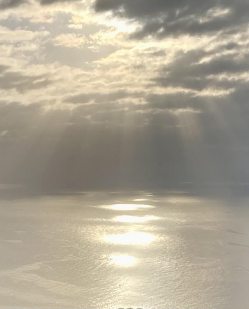 occhi di sole sul mare di Camogli
