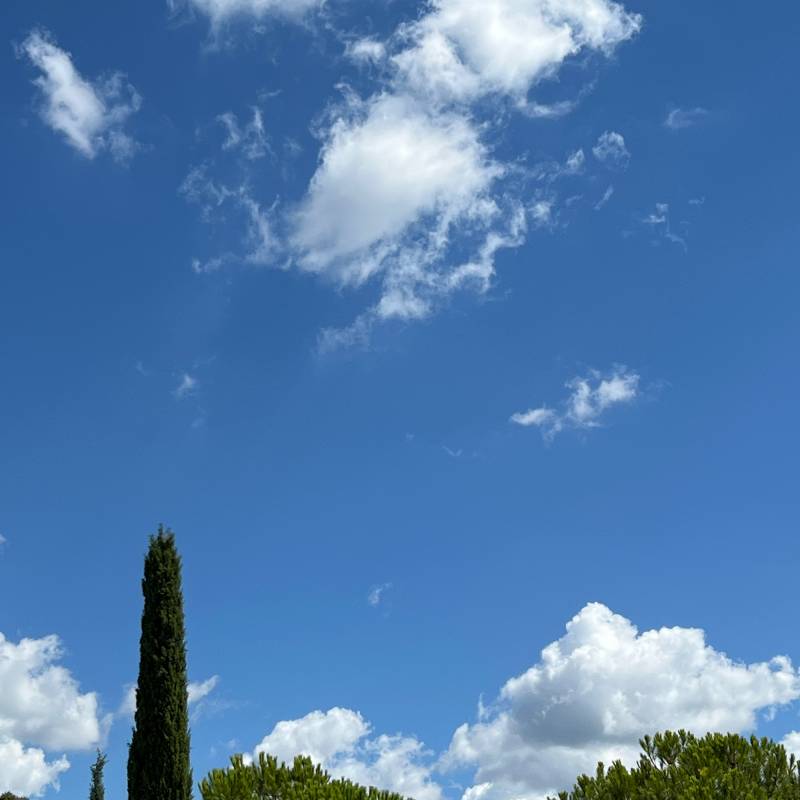 Fotosegnalazione di Casole d'elsa