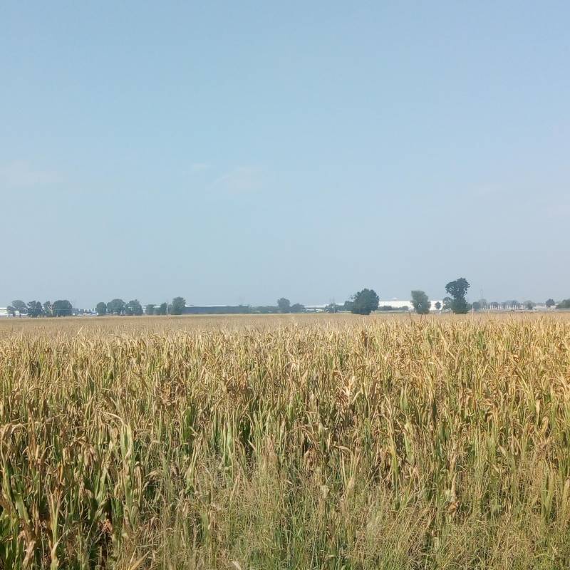 Fotosegnalazione di Sarmato