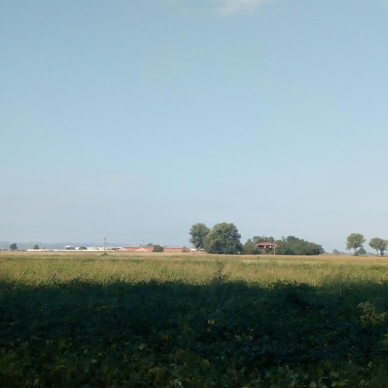 Fotosegnalazione di Sarmato