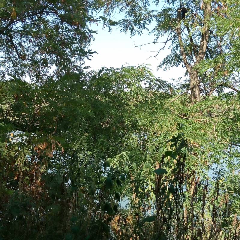 Fotosegnalazione di Chignolo po