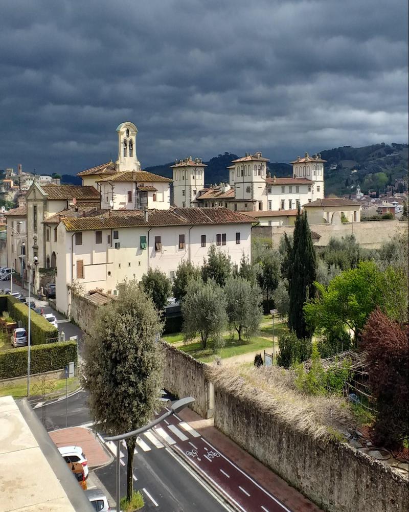 villa medicea