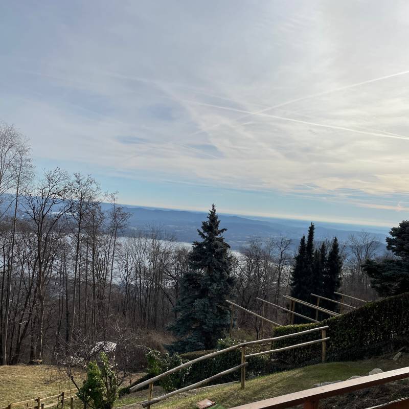 Fotosegnalazione di Massino visconti