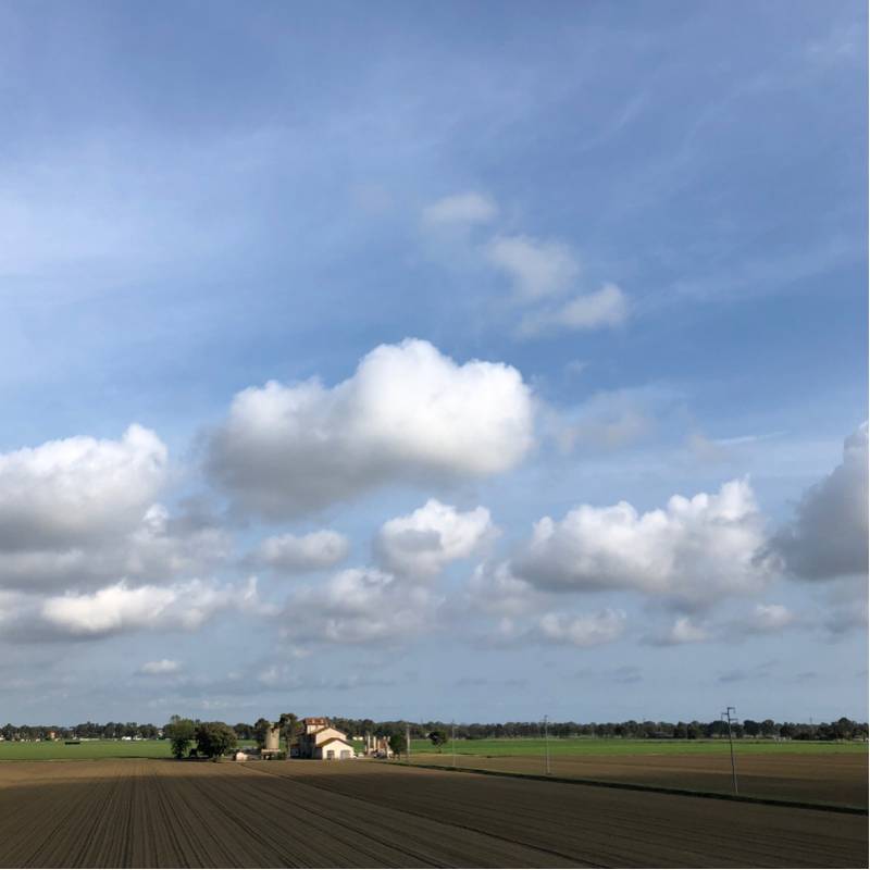 Fotosegnalazione di Fiumicino