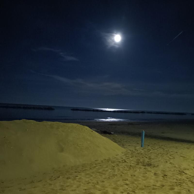 Fotosegnalazione di Francavilla al mare