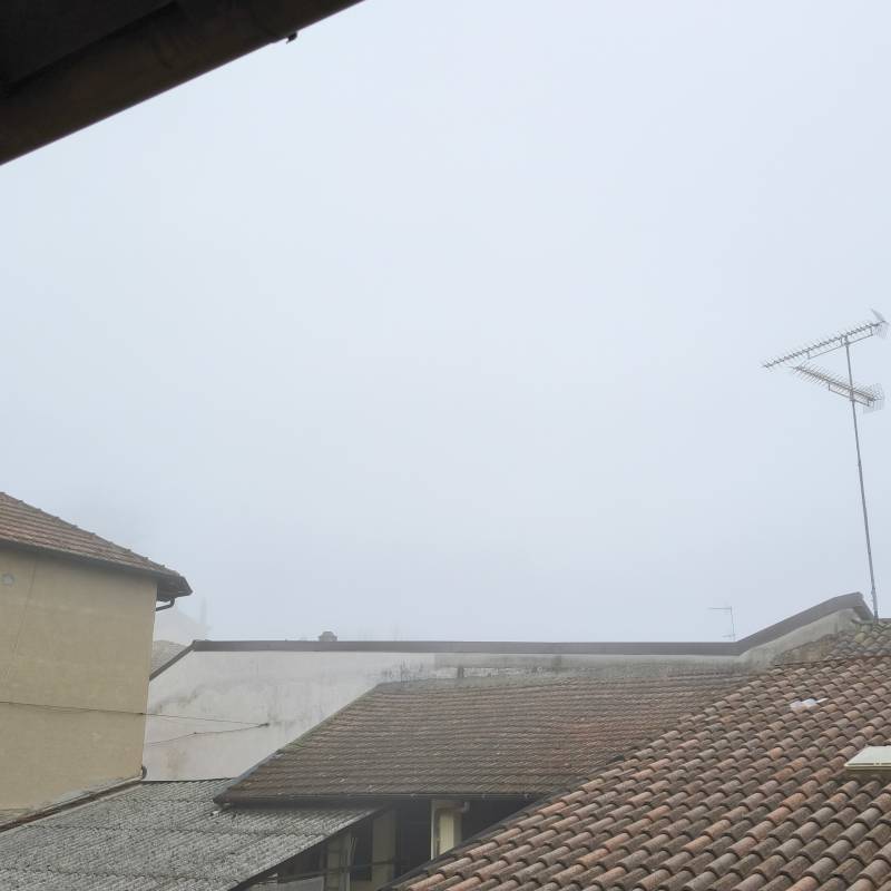 Pomaro monferrato - nebbia