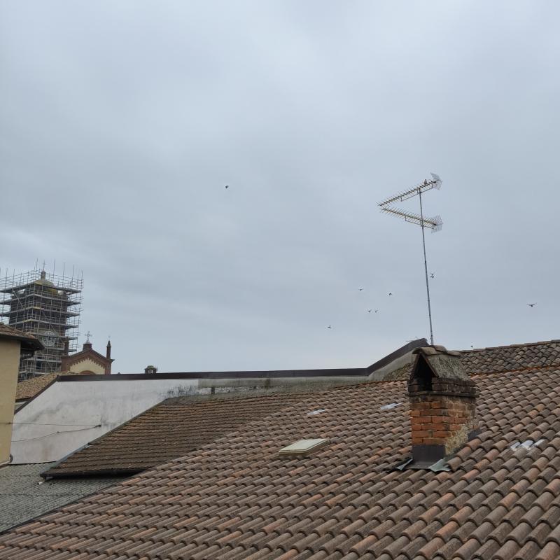 Fotosegnalazione di Pomaro monferrato