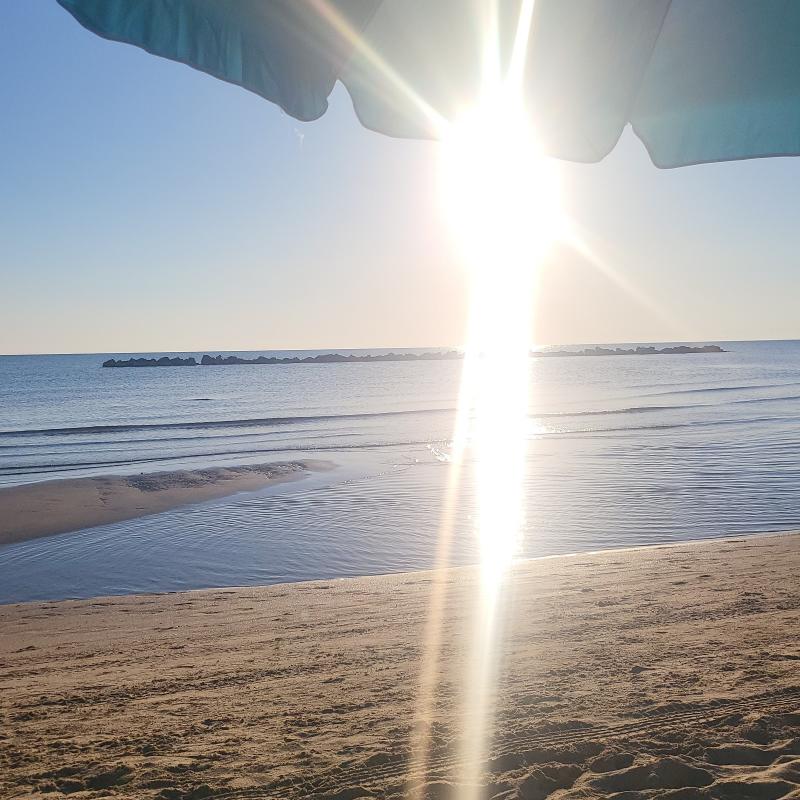 Fotosegnalazione di Santa filomena