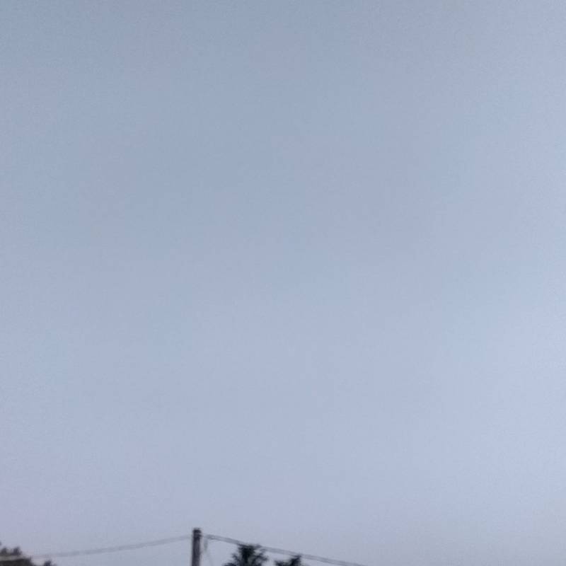 Fotosegnalazione di Ronco all'adige