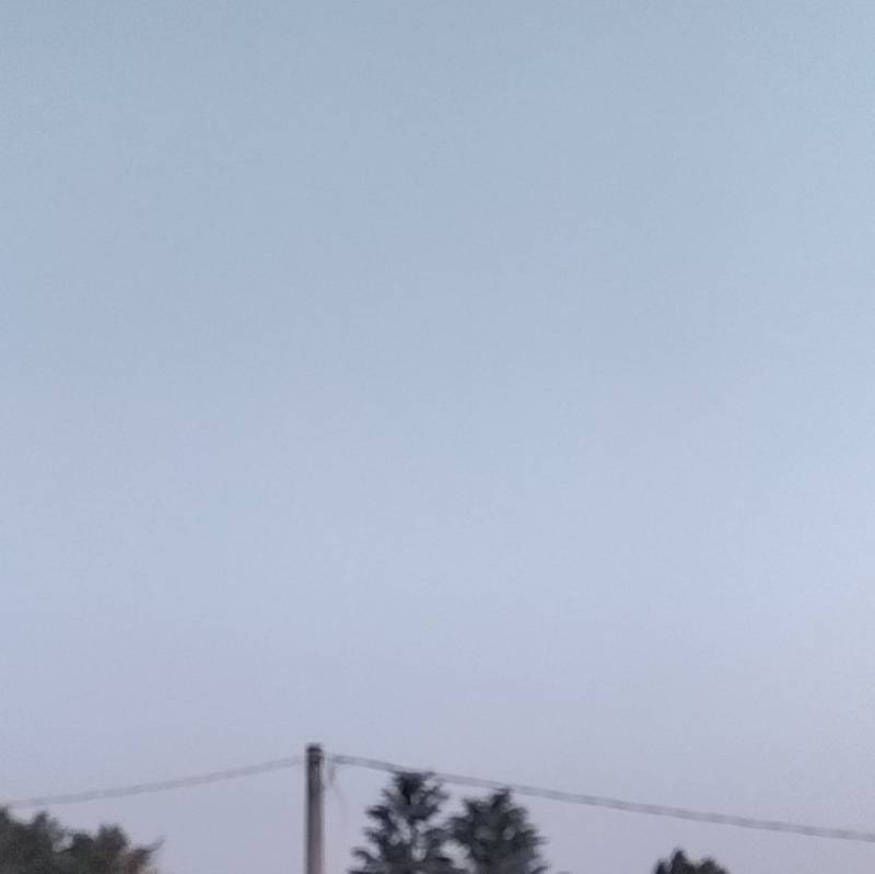 Fotosegnalazione di Ronco all'adige
