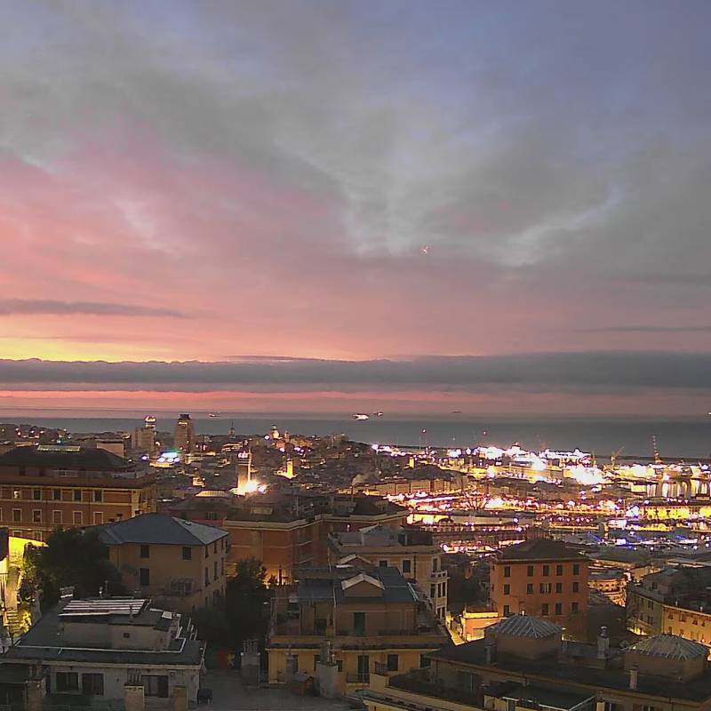 alba colorata