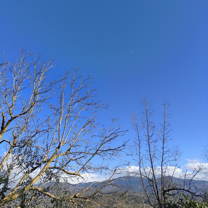 Sole a rignano