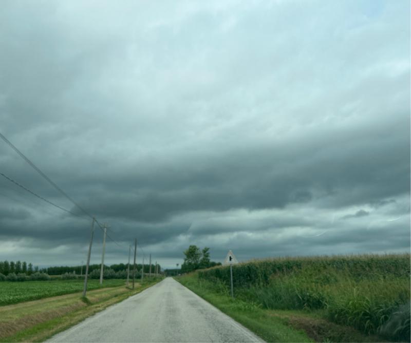 Fotosegnalazione di Gruaro