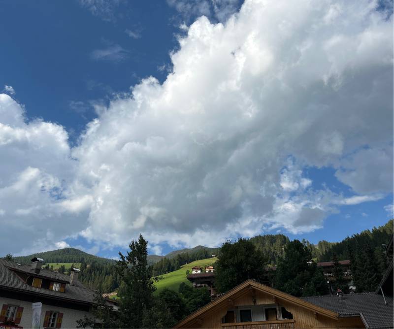 Fotosegnalazione di Moso