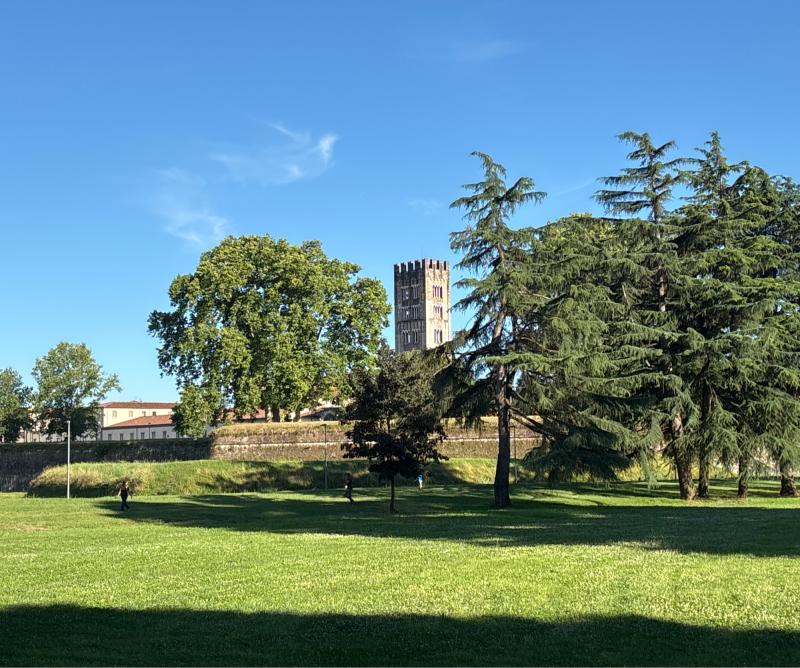Fotosegnalazione di Lucca centro urbano
