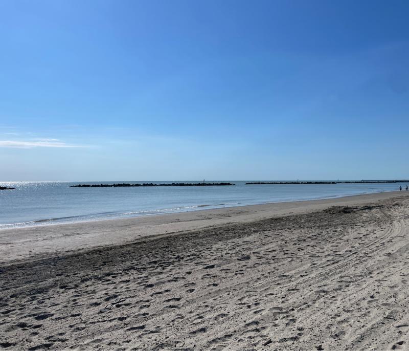 Bagno le dune lido degli scacchi