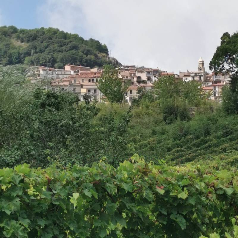 Fotosegnalazione di San giovanni a piro