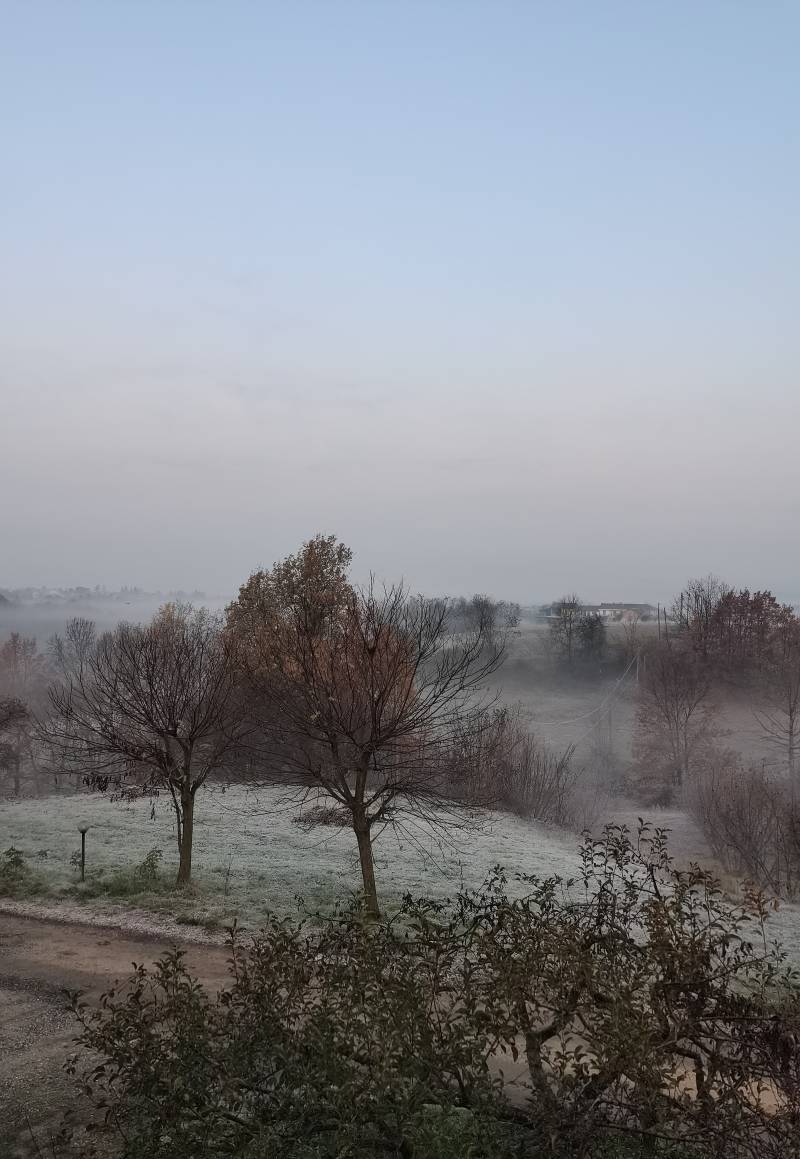 che spettacolo