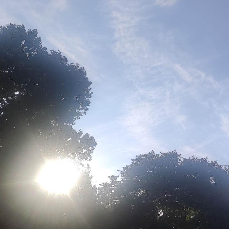 Fotosegnalazione di Ravenna centro