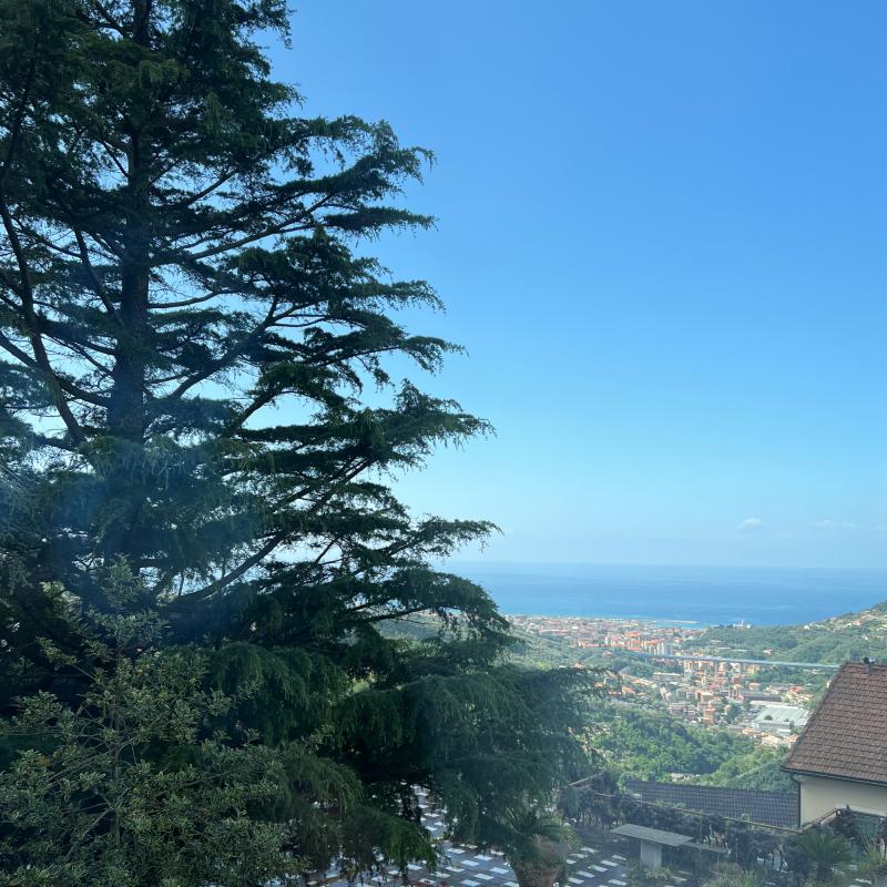 Vista da Leivi