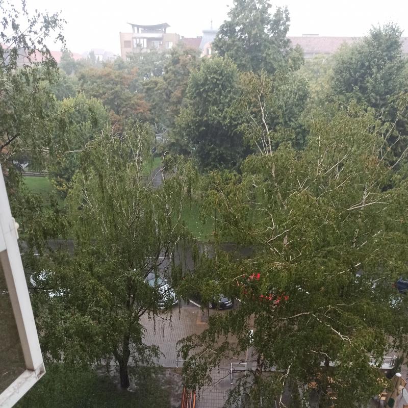 Fotosegnalazione di Arad
