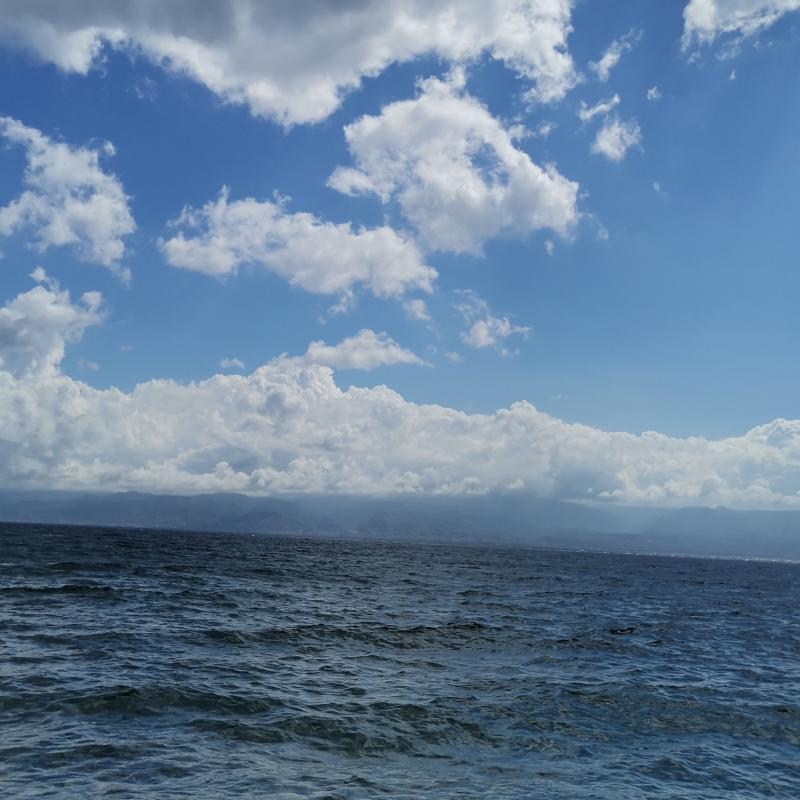 Fotosegnalazione di Galati marina