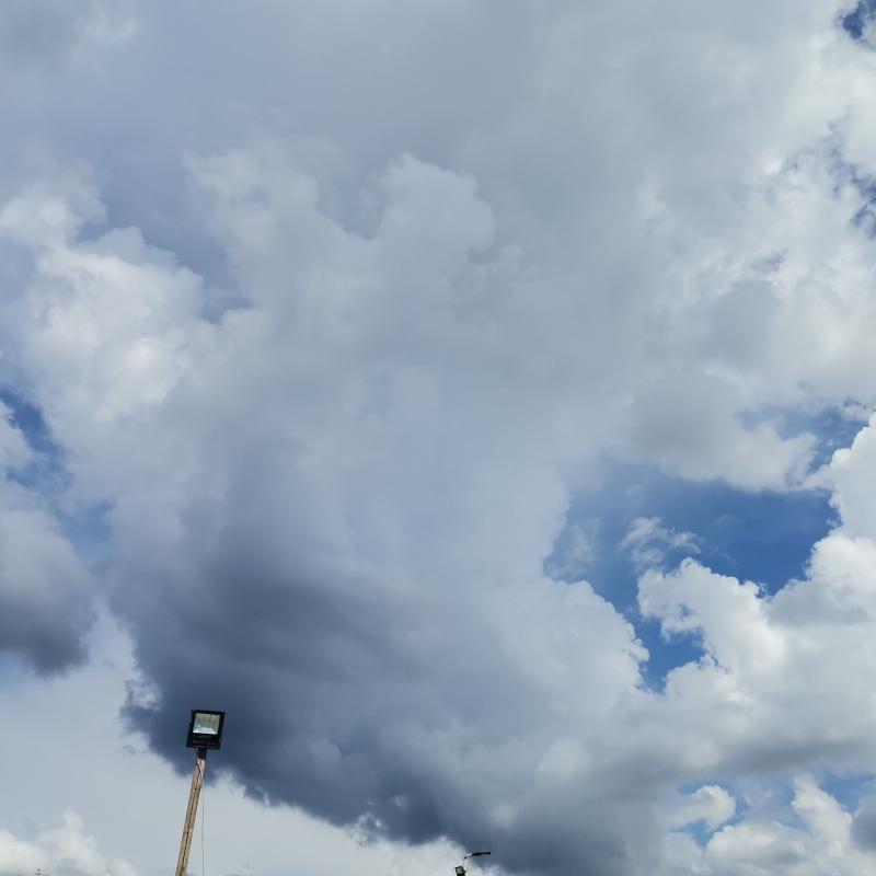 Fotosegnalazione di Galati marina