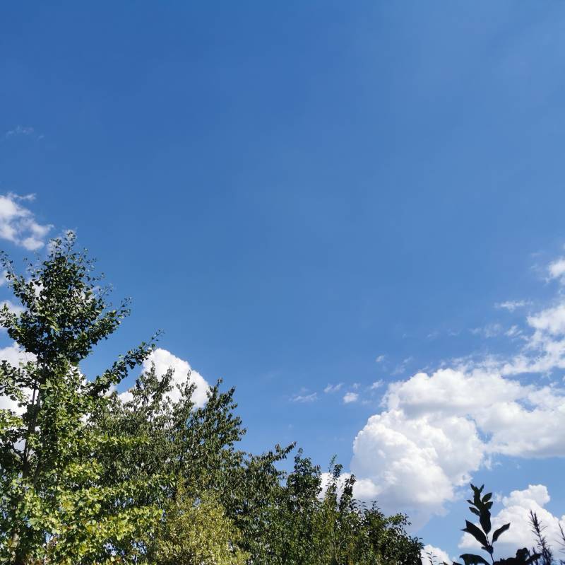 Cielo sereno con qualche nuvola qua e la'