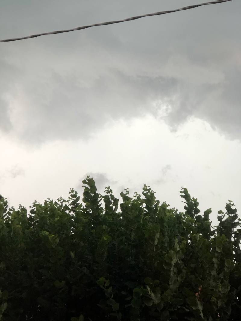 Fotosegnalazione di Ponzano veneto