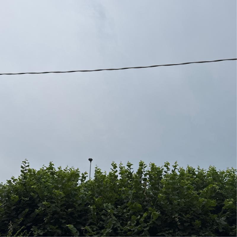 Fotosegnalazione di Ponzano veneto