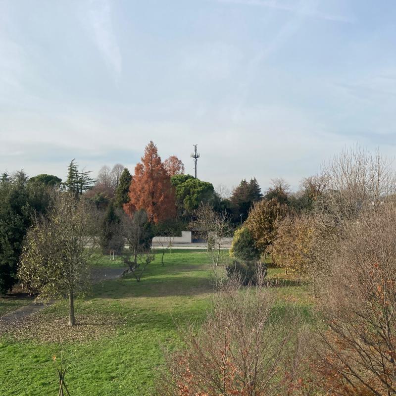 Fotosegnalazione di Selvazzano dentro